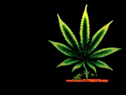 pussy weed n alchohol Perfect if sweatpants were sexy